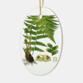 Fern Keramisch Ornament (Links)