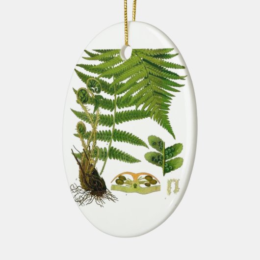 Fern Keramisch Ornament (Links)