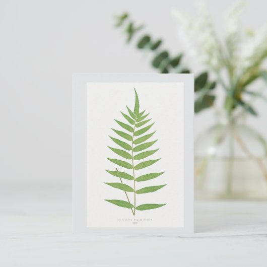 Fern Leaf Botanical Illustration Briefkaart (Staand voorkant)