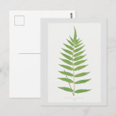 Fern Leaf Botanical Illustration Briefkaart (Voorkant / Achterkant)