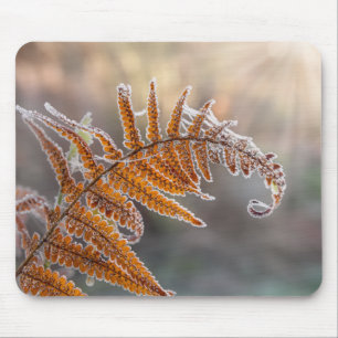 Fern Leaf met Icy Frost in een koude Natuur - Muismat