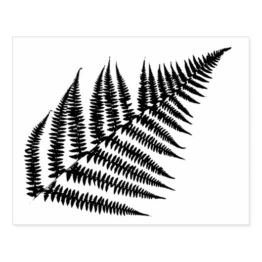 Fern Leaf Stano Rubber Stamp Rubberstempel (Afrduk)