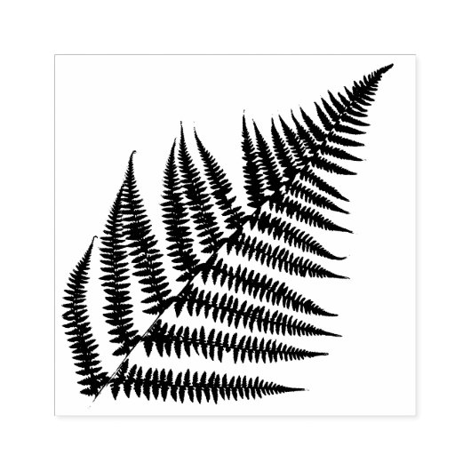 Fern Leaf Stano Rubberstempel (Afrduk)
