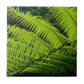 Fern leaf tegeltje (Voorkant)