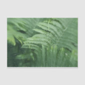 Fern Leaves Botanical Greenery Art Tissuepapier (Voorkant)