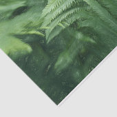 Fern Leaves Botanical Greenery Art Tissuepapier (Detail)