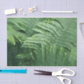 Fern Leaves Botanical Greenery Art Tissuepapier (Craft)
