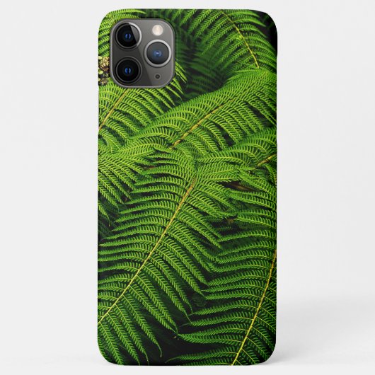 Fern Leaves Case-Mate iPhone Case (Achterkant)