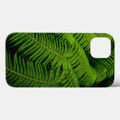 Fern Leaves Case-Mate iPhone Case (Achterkant (horizontaal))