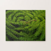 Fern Leaves Legpuzzel (Horizontaal)
