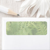 Fern Leaves, Light Green. Etiket (Insitu)