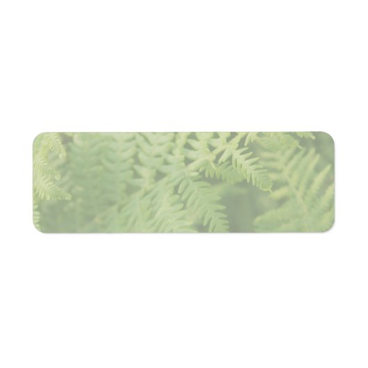 Fern Leaves, Light Green. Etiket (Voorkant)