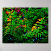 Fern Leaves Print (Voorkant)