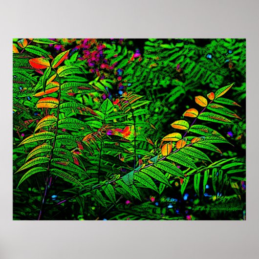 Fern Leaves Print (Voorkant)
