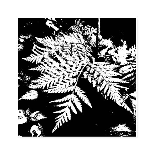 Fern Leaves Rubber Stamp Rubberstempel (Afrduk)