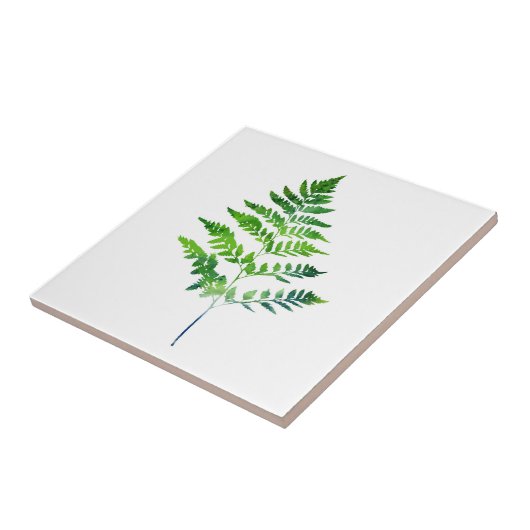Fern Leaves Tegeltje (Zijkant)