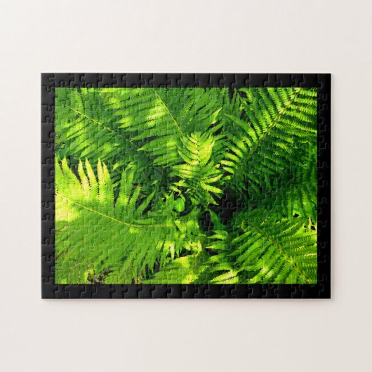 Fern Legpuzzel (Horizontaal)
