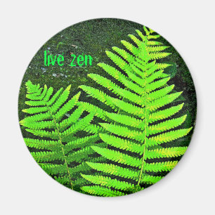 fern live zen magnet