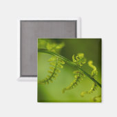 Fern Magnet (Voorkant / Achterkant)