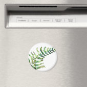 Fern Magnet (Insitu (Vaatwasser))