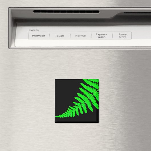 Fern Magnet (Insitu (Vaatwasser))