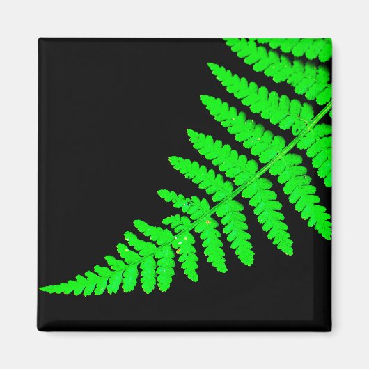Fern Magnet (Voorkant)