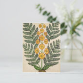 Fern met gele bloemen briefkaart (Staand voorkant)