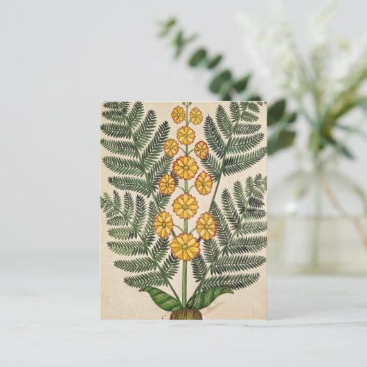 Fern met gele bloemen briefkaart (Staand voorkant)