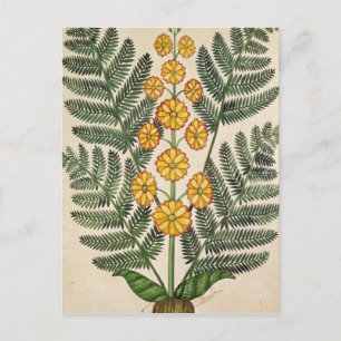 Fern met gele bloemen briefkaart