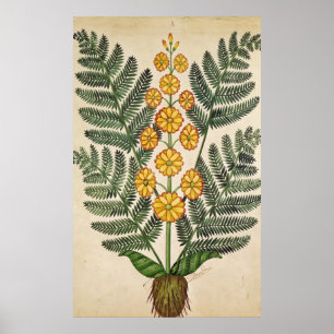 Fern met gele bloemen poster