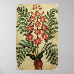 Fern met rode en gele bloemen poster