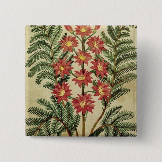 Fern met rode en gele bloemen vierkante button 5,1 cm (Voorkant)