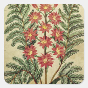 Fern met rode en gele bloemen vierkante sticker