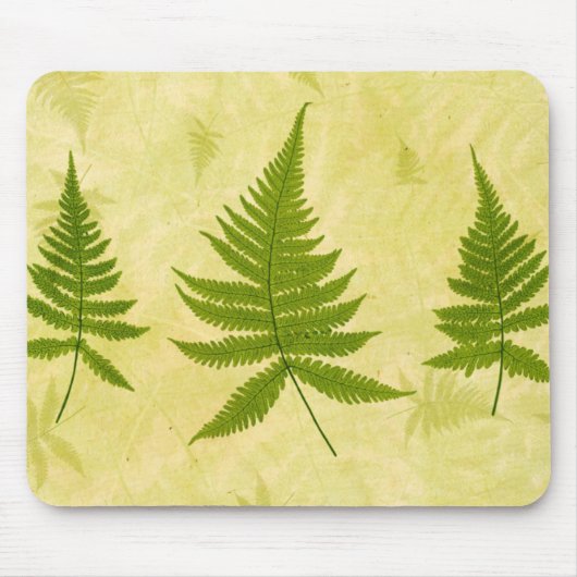 Fern Muismat (Voorkant)