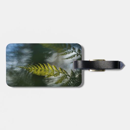 Fern Natuur Foto Bagagelabel (Achterkant horizontaal)