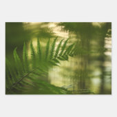 Fern Natuur Foto Inpakpapier Vel (Voorkant)