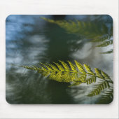 Fern Natuur Foto Muismat (Voorkant)