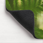Fern Natuur Foto Muismat (Hoek)