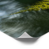 Fern Natuur Foto Poster (Hoek)