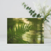 Fern Natuur fotokaart (Staand voorkant)