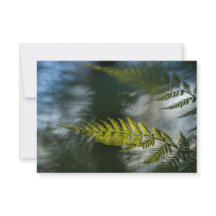 Fern Natuur-fotokaarten