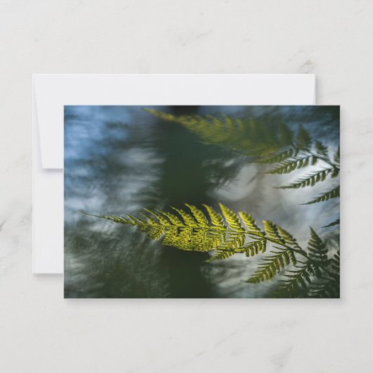 Fern Natuur-fotokaarten (Voorkant)