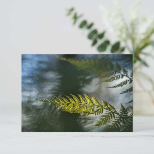Fern Natuur-fotokaarten (Staand voorkant)