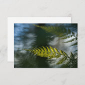 Fern Natuur-fotokaarten (Voorkant / Achterkant)