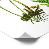 Fern No 10 Home Decor Print (Hoek)