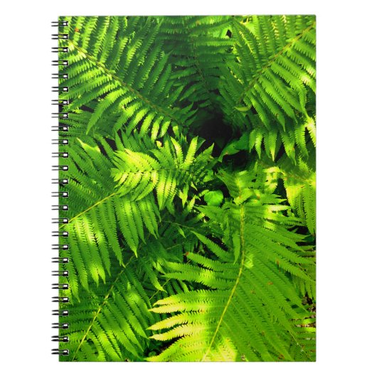 Fern Notitieboek (Voorkant)