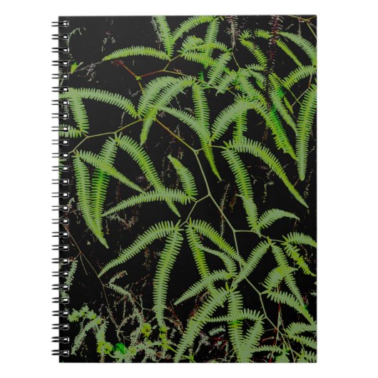 Fern Notitieboek (Voorkant)