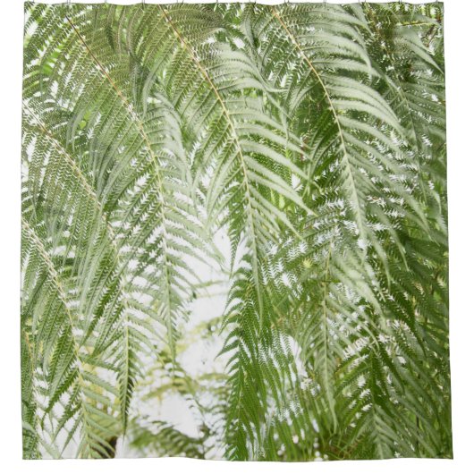 Fern Oerwoud #1 #botanical #wall #art Douchegordijn (Voorkant)