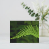 Fern P6597 Briefkaart (Staand voorkant)