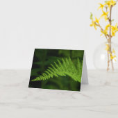 Fern P6597 Kaart (Gele Bloem)
